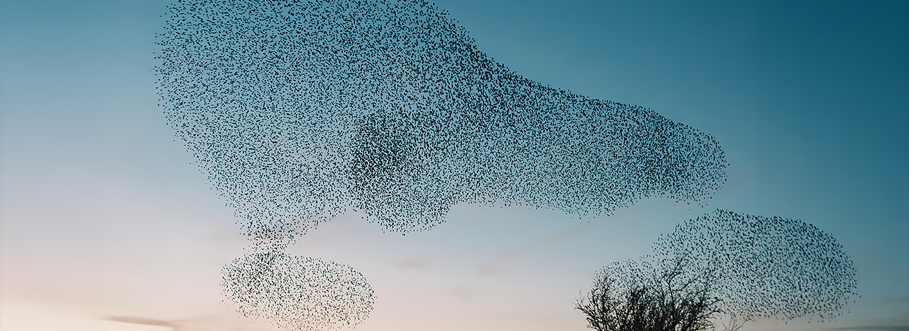 Migrating to AWS Cloud: Steps and Benefits